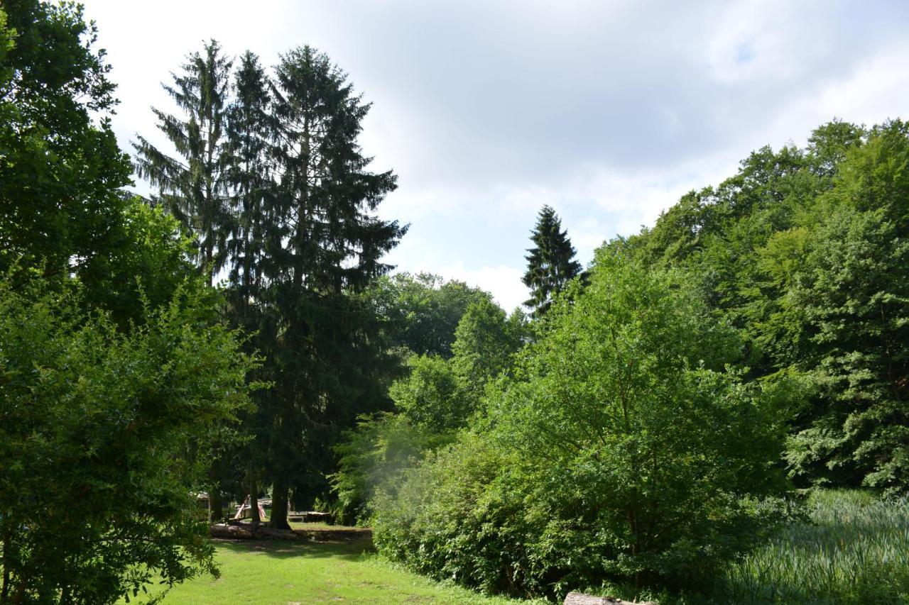 Bungalows Am Waldessaum Bei Hohenzieritz Екстер'єр фото